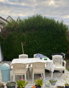 Photo de galerie - Taille de haies et d'arbustes