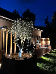 Photo de galerie - Création d'une terrasse en bois exotique, mise en place de lumière création d'un bac en traverse paysagère et plantation d'un olivier