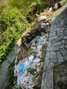 Photo de galerie - évacuation gravats encombrants 