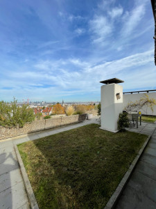 Photo de galerie - Résultat final d'un entretien complet de jardin