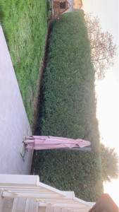 Photo de galerie - Après 