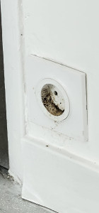 Photo de galerie - Avant nettoyage 