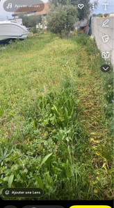 Photo de galerie - Débroussaillage 