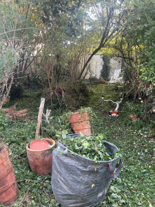Photo de galerie - Tonte de pelouse - Débroussaillage