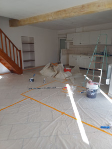 Photo de galerie - Rénovation peinture plafond suite a dégât des eaux , reprise des liaison des poutres.