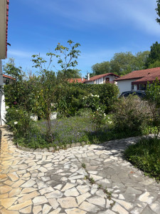 Photo de galerie - Paysagiste - Aménagement du jardin