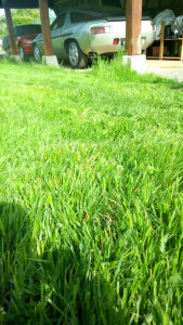 Photo de galerie - Jardinier