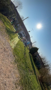 Photo de galerie - Tonte d’une petite crèche 