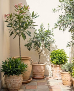 Photo de galerie - Arroser les plantes, relever le courrier, ouvrir/fermer les volets, assurer une présence dissuasive contre les cambriolages, entretien léger du logement