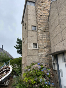 Photo de galerie - Nettoyage et évacuation du lierre qui avait envahi le pignon 