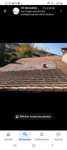 Photo de galerie - Traitement anti mousse 