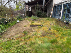 Photo de galerie - Tonte de pelouse - Débroussaillage