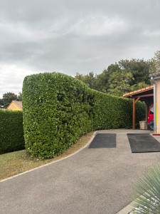 Photo de galerie - Paysagiste - Aménagement du jardin