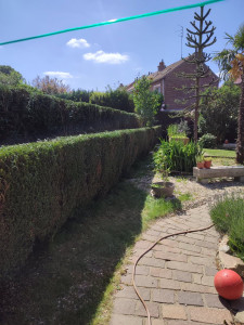 Photo de galerie - Après 