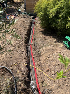 Photo de galerie -  arrosage automatique