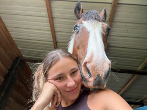 Photo de galerie - Un de mes chevaux