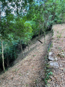 Photo de galerie - étagère débroussaillage de ronciers et débardage d arbres morts 