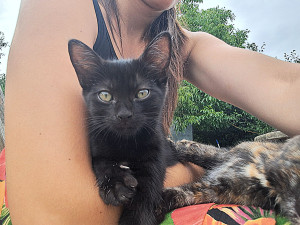 Photo de galerie - Très passionnée