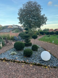 Photo de galerie - Taille en topiaire 