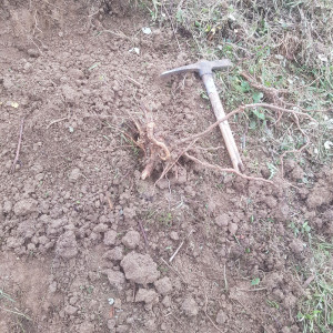 Photo de galerie - Maintenant