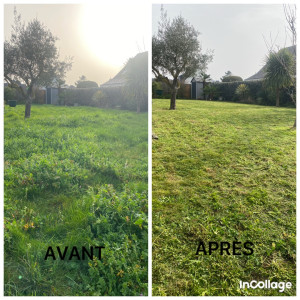 Photo de galerie - Tonte de pelouse 