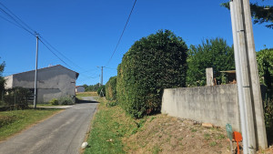 Photo de galerie - Coupe de haies hauteur 4m coupé  sur 2m50 de hauteur et coupe 1m de largeur