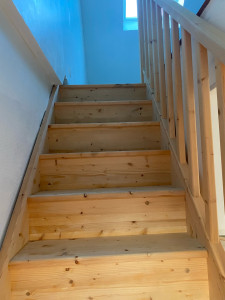 Photo de galerie - Nettoyage complet d escaliers