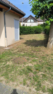 Photo de galerie - Tonte de pelouse - Débroussaillage