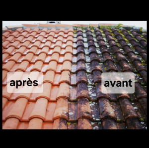 Photo de galerie - Nettoyage de toiture 