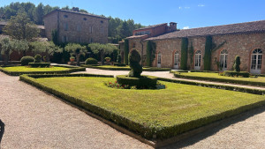 Photo de galerie - Taille de haies et d’arbustes 