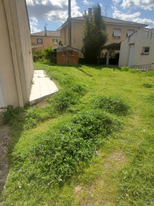 Photo de galerie - Tonte de pelouse - Débroussaillage