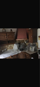 Photo de galerie - Peinture - Tapisserie