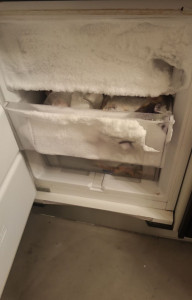 Photo de galerie - Dépannage électroménager