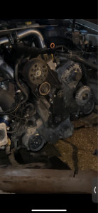 Photo de galerie - Distribution 