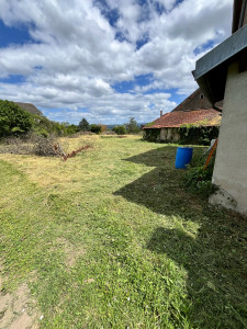 Photo de galerie - 1800m2 de débroussaillage après 