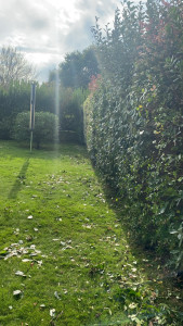 Photo de galerie - Taille de haie 50m