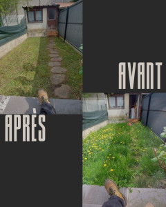 Photo de galerie - Tondeuse + coupe bordure 