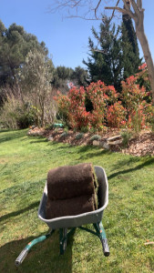 Photo de galerie - Paysagiste - Aménagement du jardin