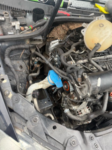 Photo de galerie - Replacement kit de distribution kit courroie accessoire et radiateur d’huile sur golf 7 1.6 Tdi 105 ch