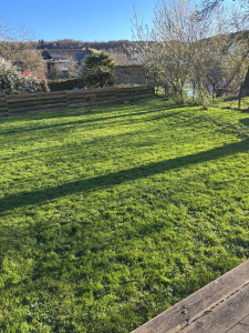 Photo de galerie - Tonte d’une pelouse 