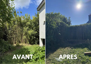 Photo de galerie - Taille de haies et d'arbustes