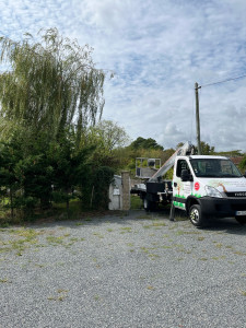 Photo de galerie - Fais, il y a deux jours