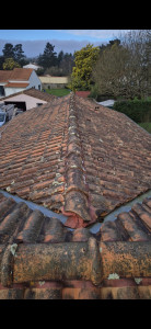 Photo de galerie - Couverture - Toiture