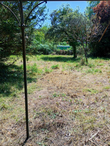 Photo de galerie - Tonte de pelouse - Débroussaillage