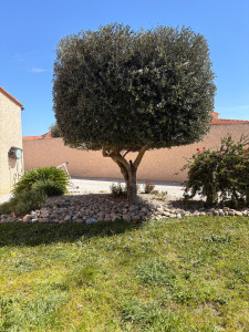 Photo de galerie - Taille