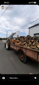 Photo de galerie - Il a également charrue et rota en machine agricole.