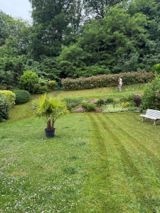 Photo de galerie - Tonte chez un particulier