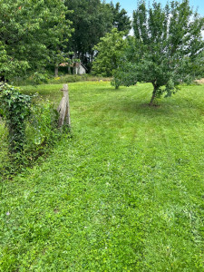 Photo de galerie - Tonte de 3000m2 