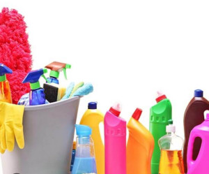 Photo de galerie - Ménage, repassage etc