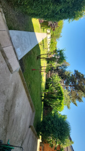 Photo de galerie - Entretien de jardin